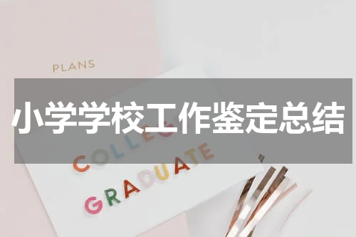 小学学校工作鉴定总结