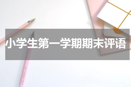 小学生第一学期期末评语