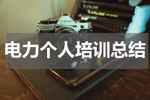 电力个人培训总结