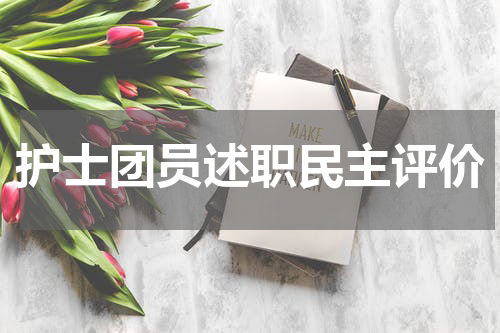 护士团员述职民主评价