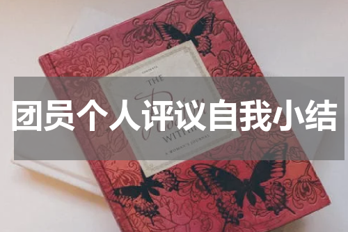 团员个人评议自我小结
