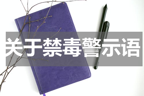 关于禁毒警示语