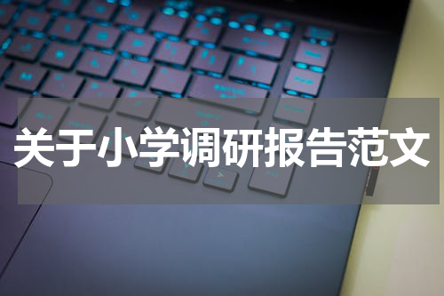 关于小学调研报告范文