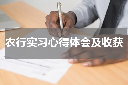 农行实习心得体会及收获