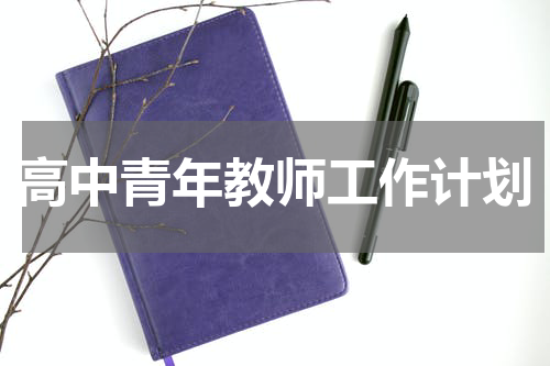 高中青年教师工作计划