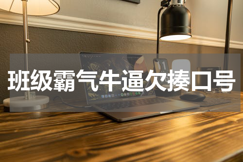 班级霸气牛逼欠揍口号