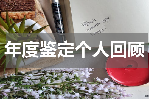 年度鉴定个人回顾