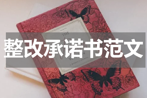 整改承诺书范文