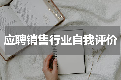 应聘销售行业自我评价