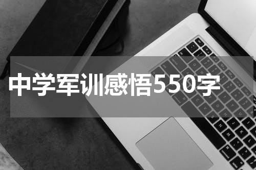 中学军训感悟550字