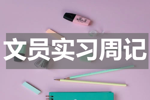 文员实习周记