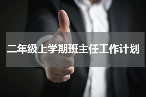 二年级上学期班主任工作计划