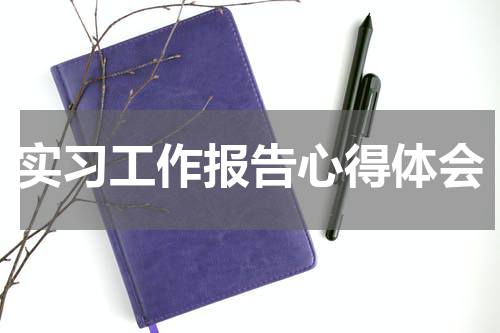实习工作报告心得体会