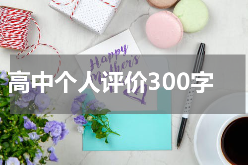 高中个人评价300字