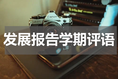 发展报告学期评语