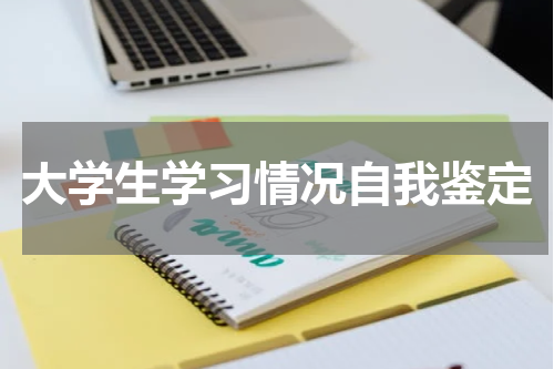 大学生学习情况自我鉴定