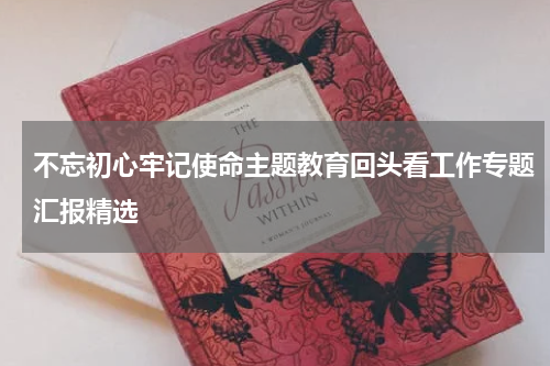 不忘初心牢记使命主题教育回头看工作专题汇报精选