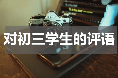 对初三学生的评语