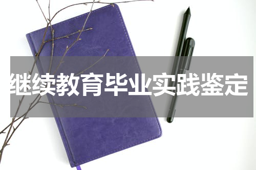 继续教育毕业实践鉴定