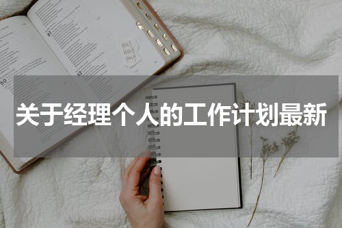 关于经理个人的工作计划最新