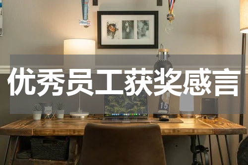 优秀员工获奖感言