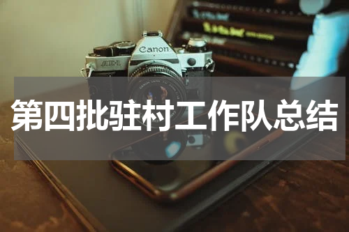 第四批驻村工作队总结