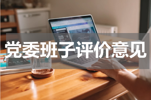 党委班子评价意见