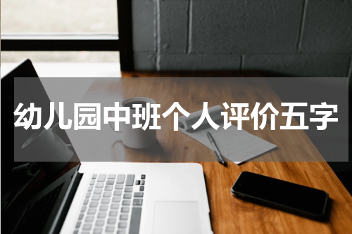 幼儿园中班个人评价五字