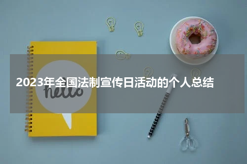 2023年全国法制宣传日活动的个人总结