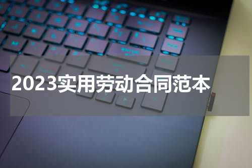 2023实用劳动合同范本