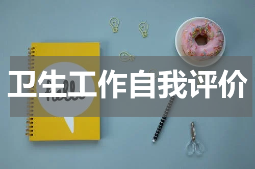 卫生工作自我评价