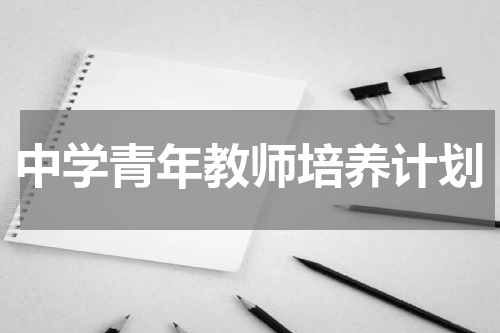 中学青年教师培养计划