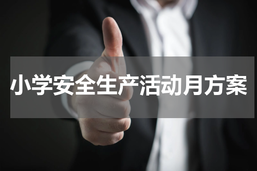 小学安全生产活动月方案