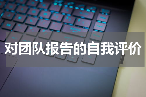 对团队报告的自我评价