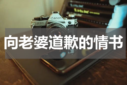 向老婆道歉的情书