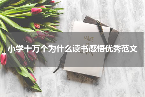 小学十万个为什么读书感悟优秀范文