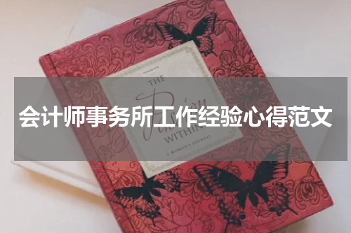 会计师事务所工作经验心得范文