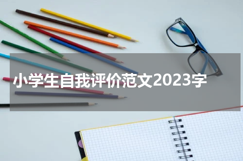 小学生自我评价范文2023字