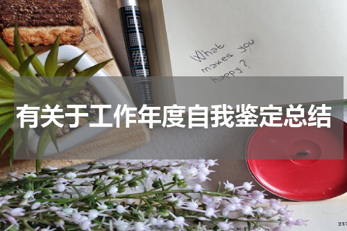 有关于工作年度自我鉴定总结