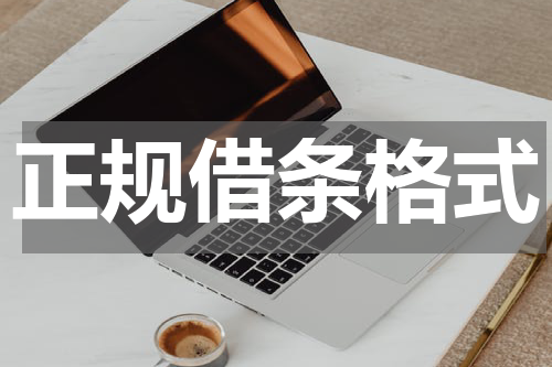 正规借条格式