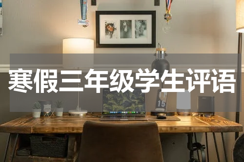 寒假三年级学生评语