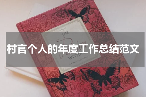 村官个人的年度工作总结范文