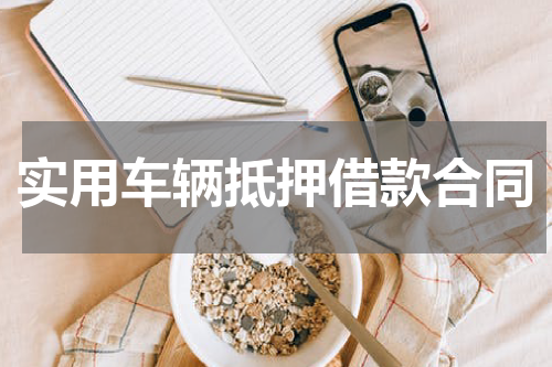 实用车辆抵押借款合同
