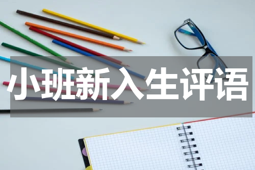 小班新入生评语