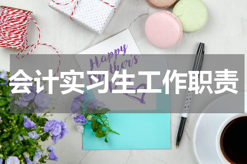 会计实习生工作职责