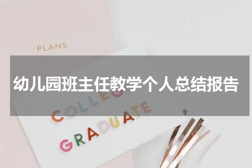 幼儿园班主任教学个人总结报告
