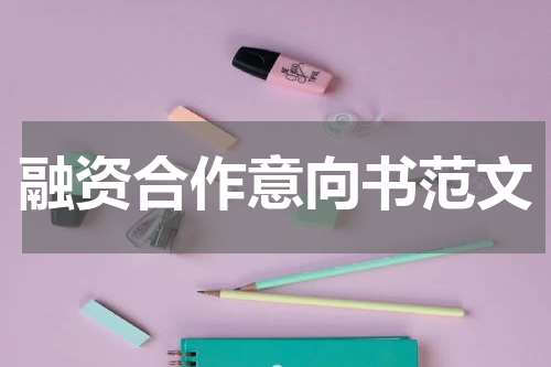 融资合作意向书范文