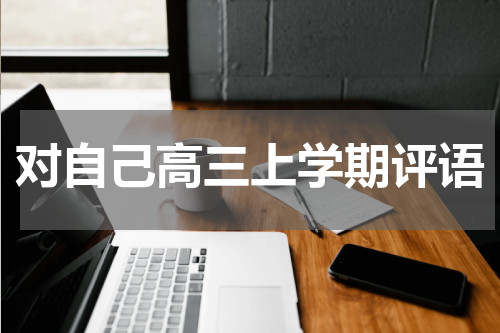 对自己高三上学期评语