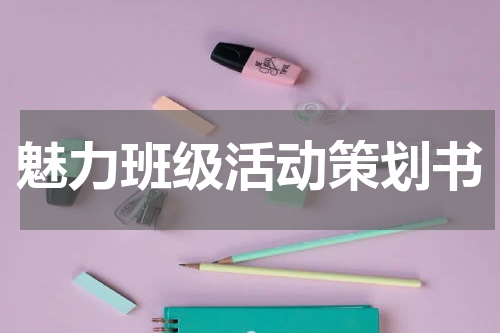 魅力班级活动策划书