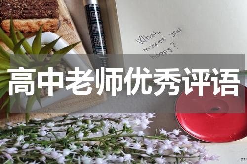 高中老师优秀评语